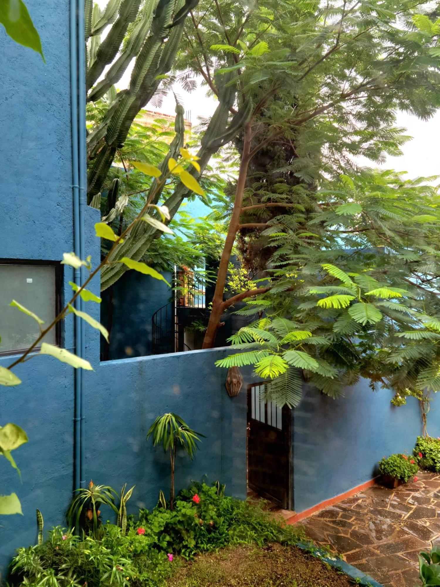 La Joya Azul Sma - Lgbtqs Hotel San Miguel de Allende Exterior foto